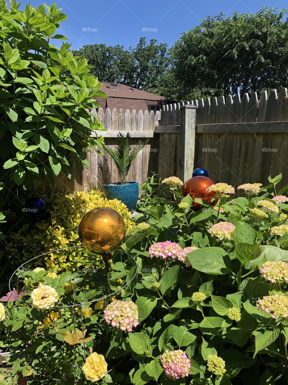 Blooming Siring flowers and garden in bloom 