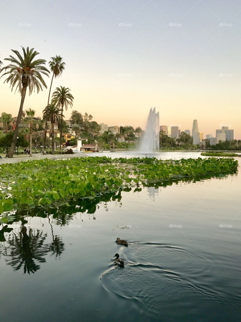 Echo Park Lake