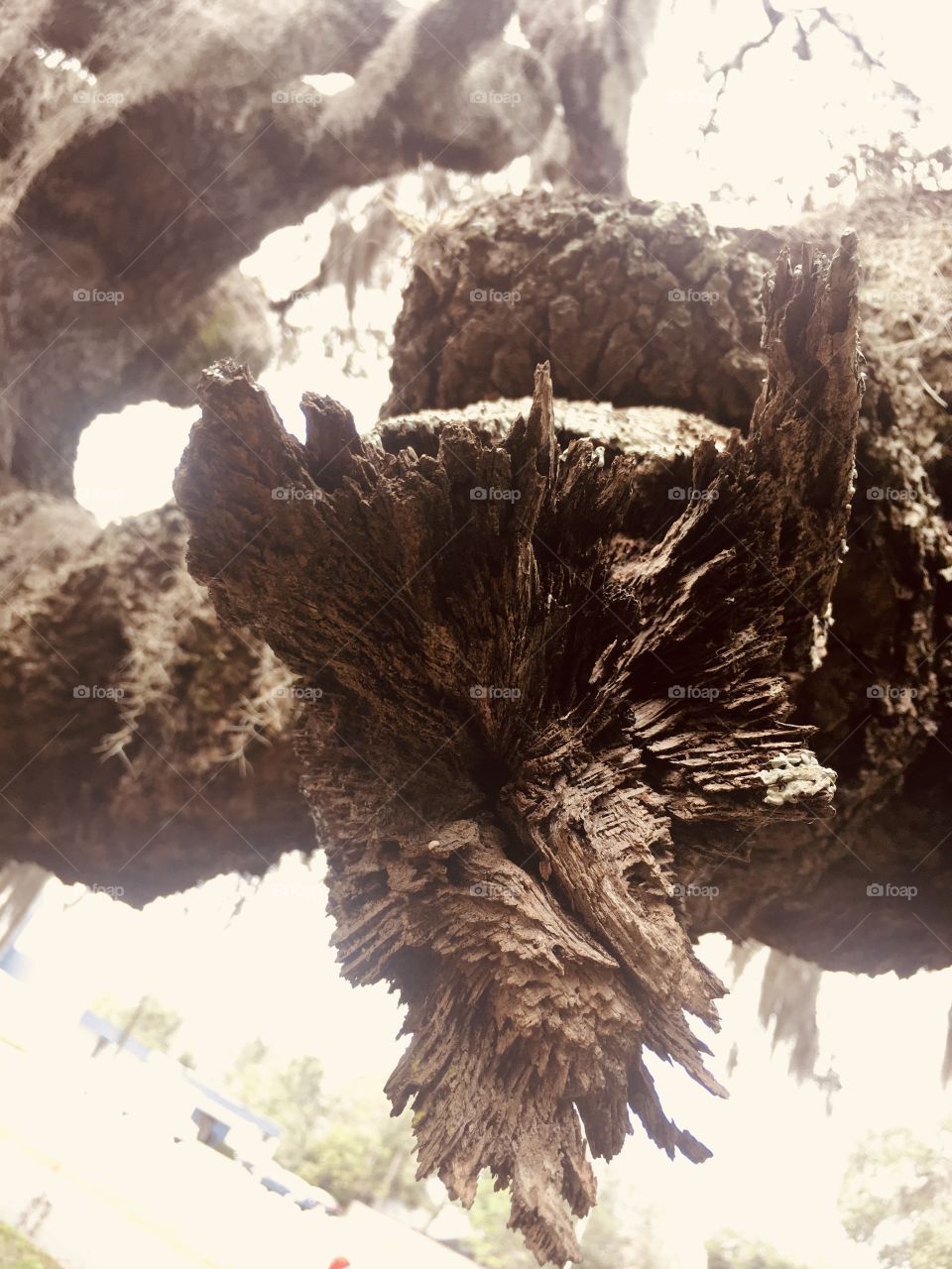 Abandoned Sunland Mental Institution urbex