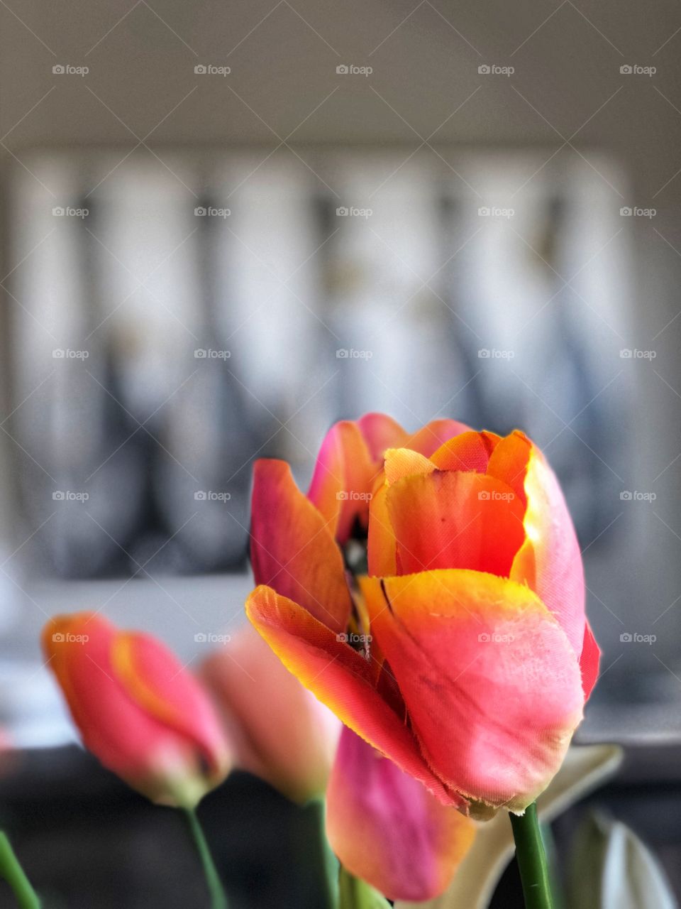 Stunning and Beautiful Tulips and Champagne 