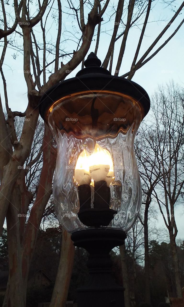 Close-up of a street lamp