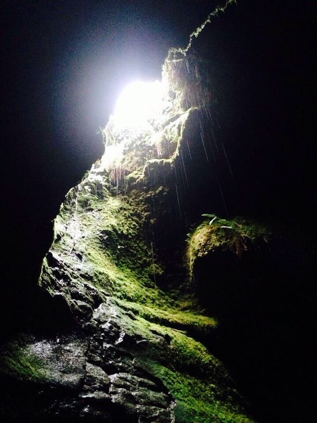 Skylight
