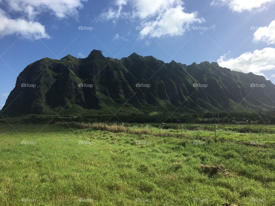 Oahu, Hawaii.  Movie location for Jurassic Park, Jumanji, and Lost