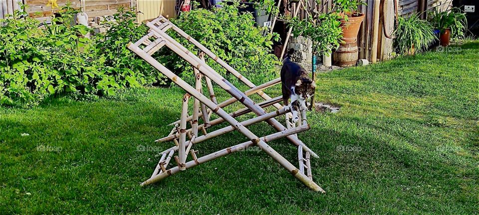 These bamboo chairs have lost their fabric covering for the moment but they still make an attractive appearance in this beautiful garden in rural „Lower Bavaria“, Germany. 2024. Hypnotic Productions