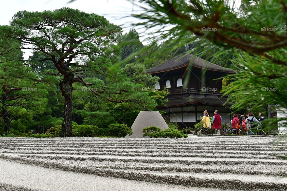 Japanese garden