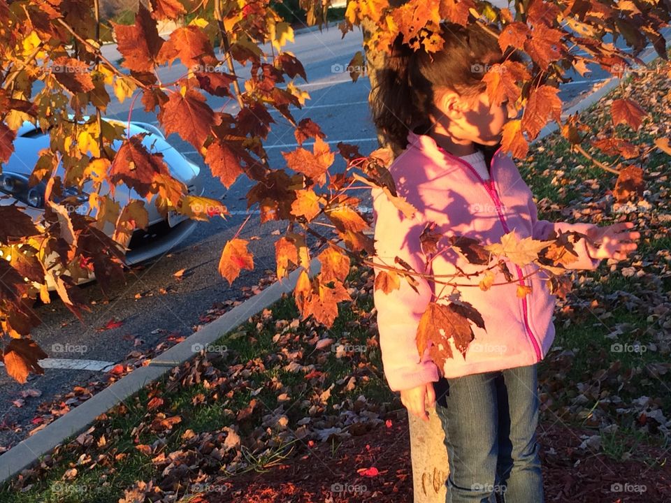 Hiding girl in tree Autumn sunset
