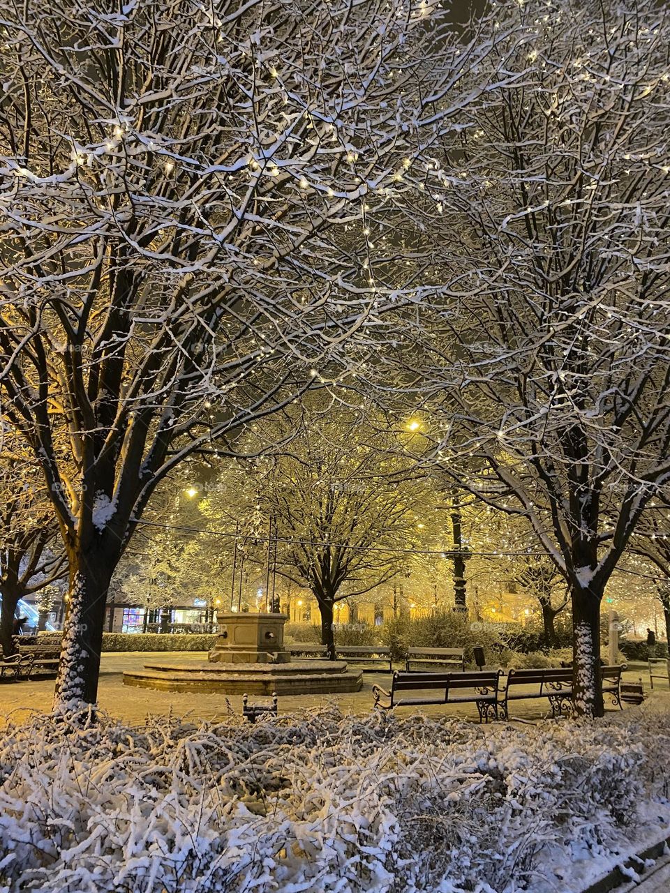 Fresh snow turned a street into magical winter wonderland. 