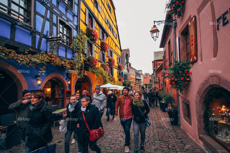 Alsace, France 🇫🇷