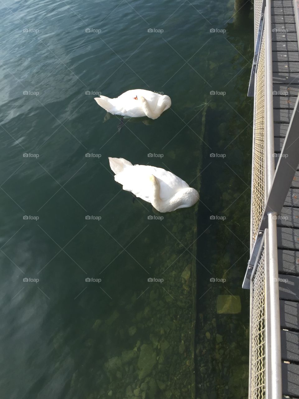 Water, No Person, Nature, Outdoors, Travel