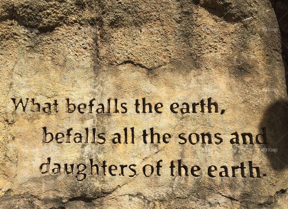 "What befalls the earth, befalls all the sons and daughters of the earth."