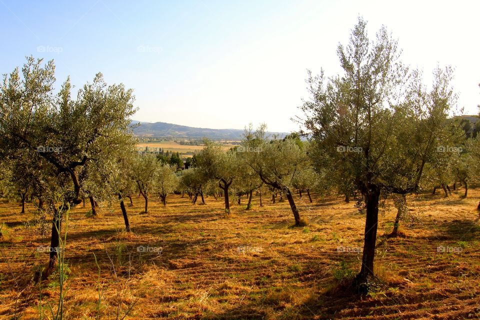 Tuscany