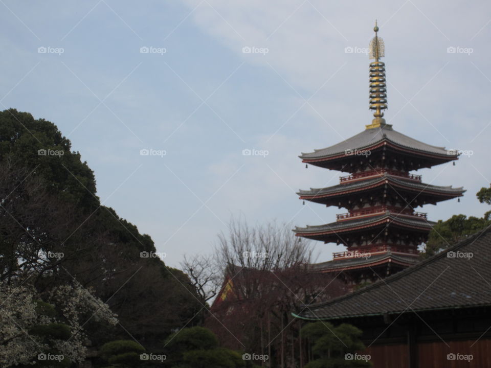 Pagoda and Trees, Skyline View. Asakusa Kannon. Sensoji Buddhist Temple and Gardens. Tokyo, Japan.