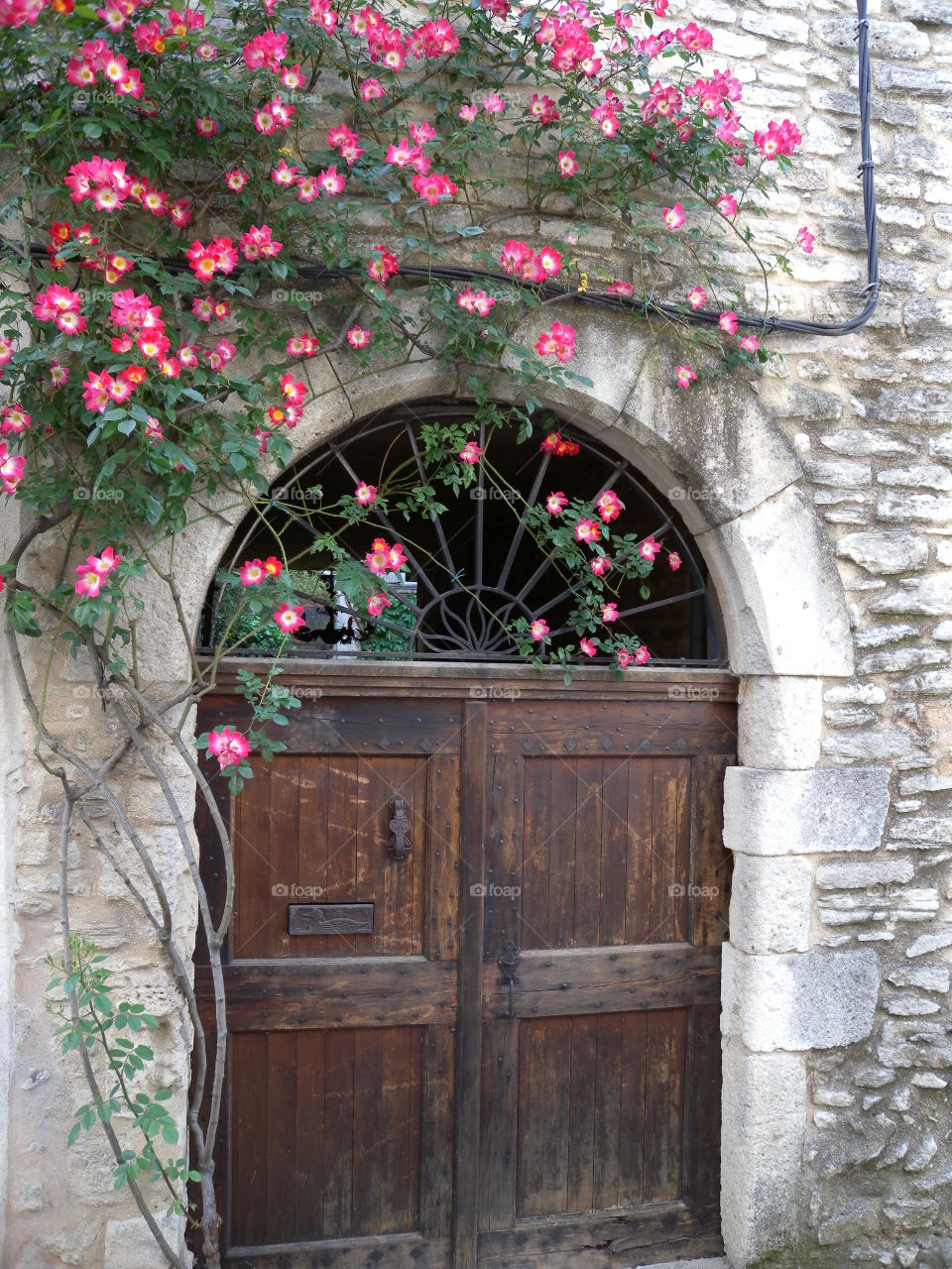 old door with roses
alte Tür mit Rosen