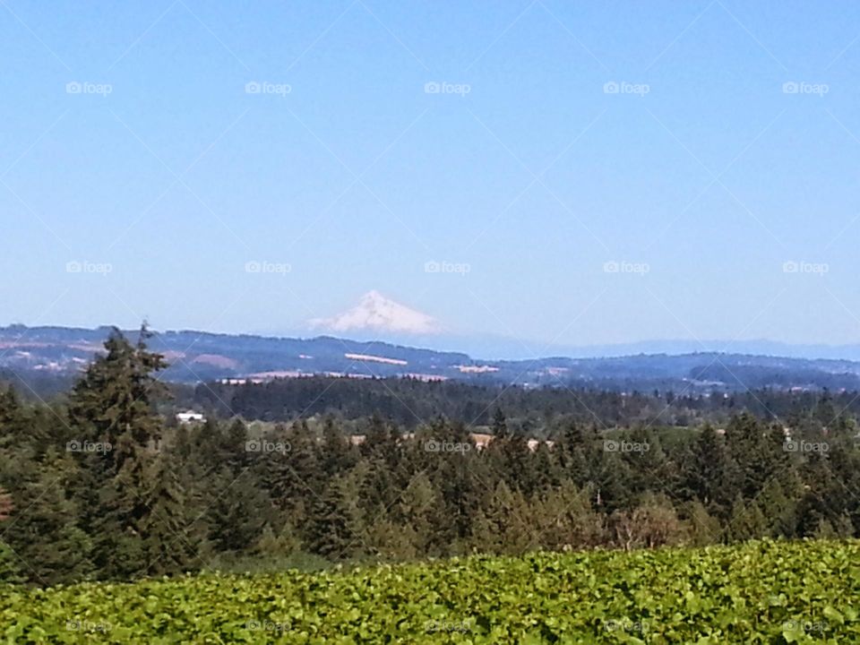 the snowy mountain peeks over the valley as if looking into the future