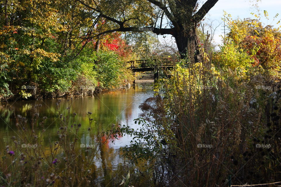 View of bridge on lake in autumn