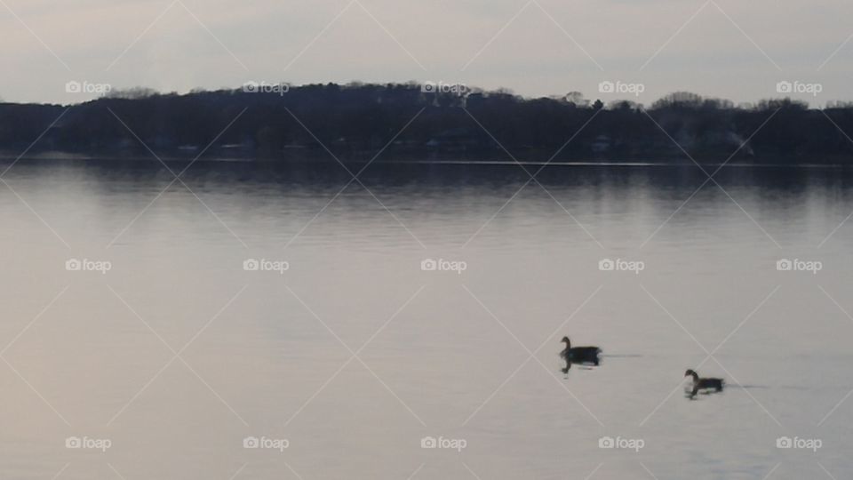 Water, Lake, River, Landscape, Reflection