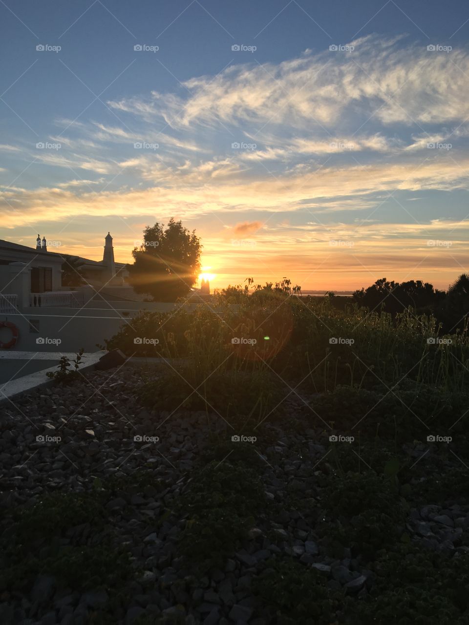 Morning beauty : it’s a new day