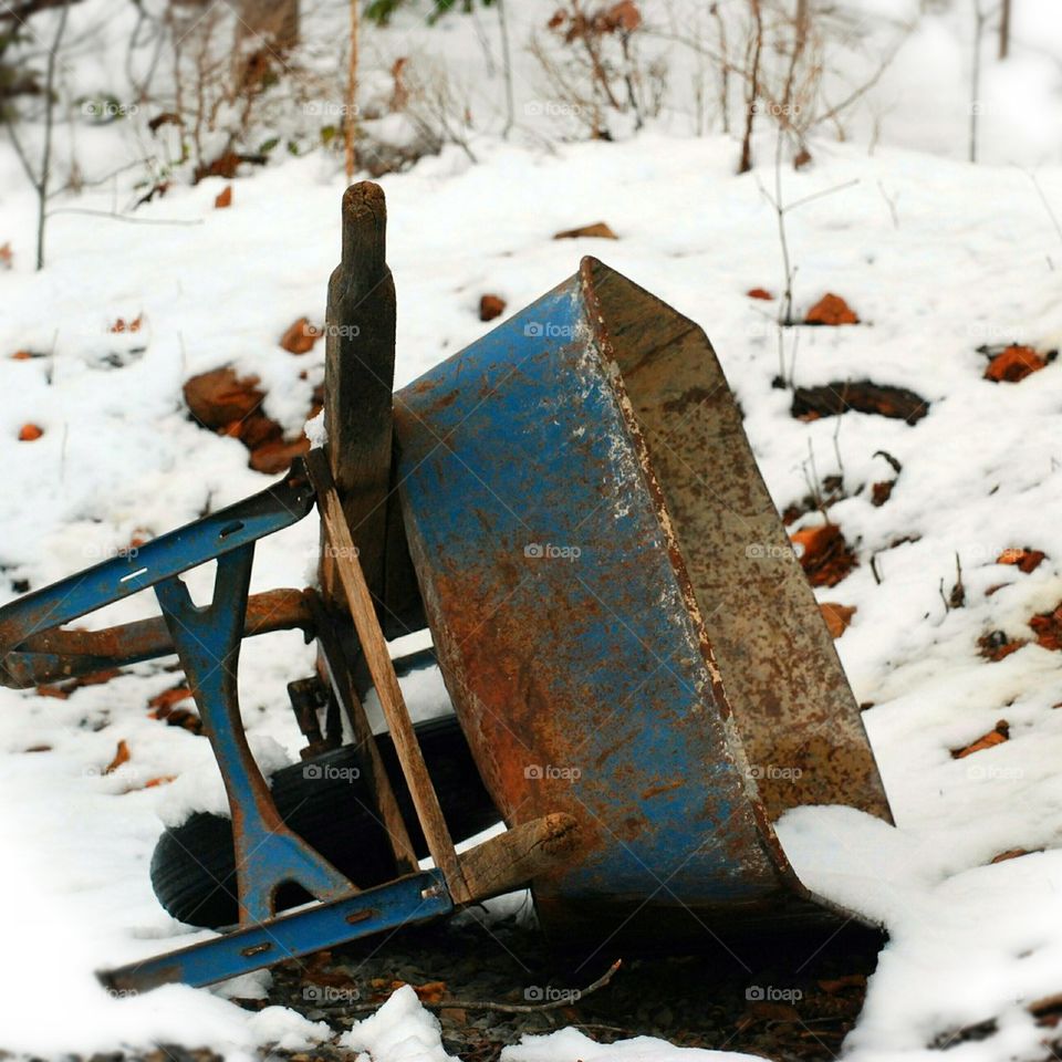 rusty blue wheelbarrow