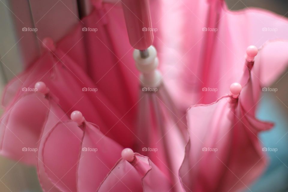 Close-up of a pink colored umbrella