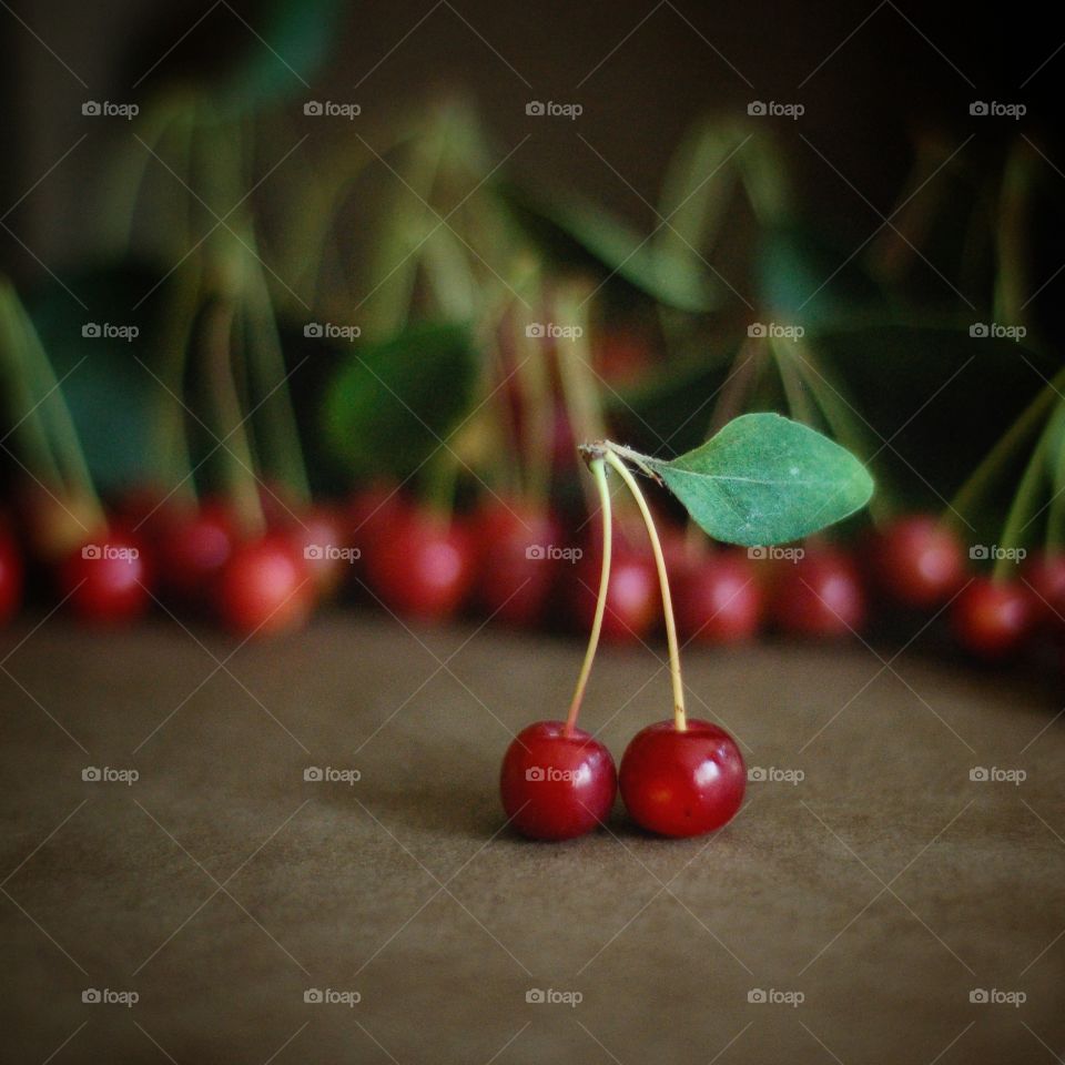 cherries, cherry, fruit, red