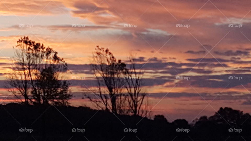 Beautiful sky behind the trees