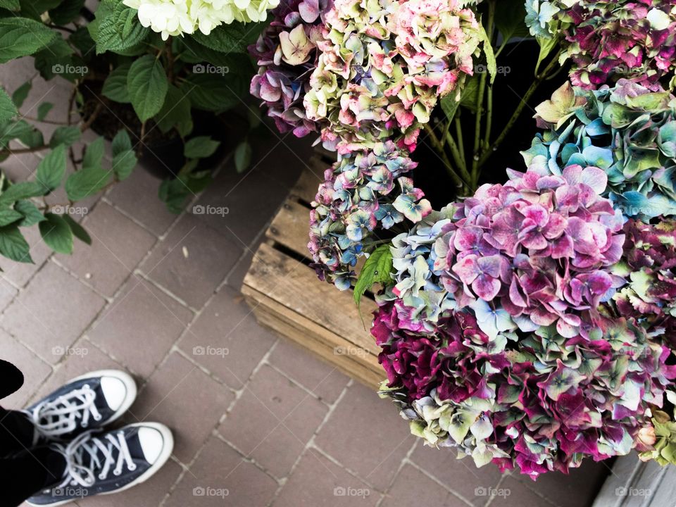 Flowers at the market place