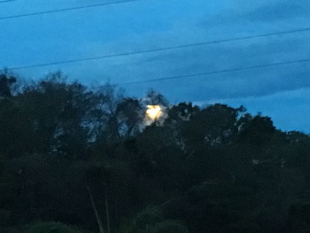 Lua