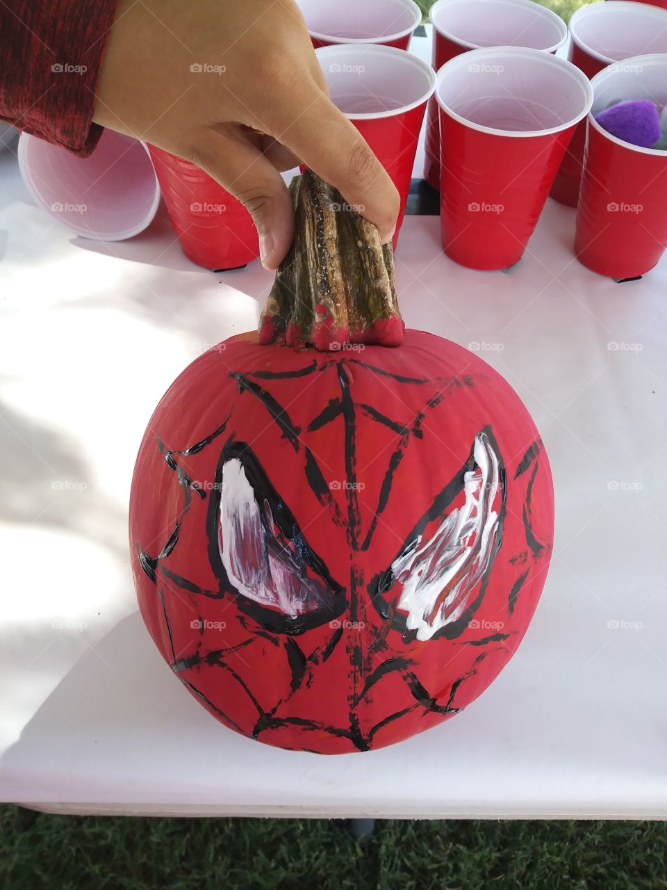 Spider-Man Pumpkin 