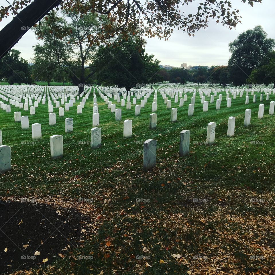 Arlington cemetery 