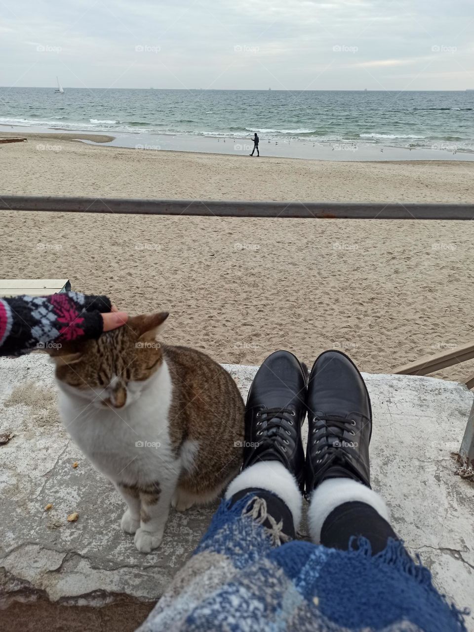 Fall Wins! (Bonus Exclusive Mission)