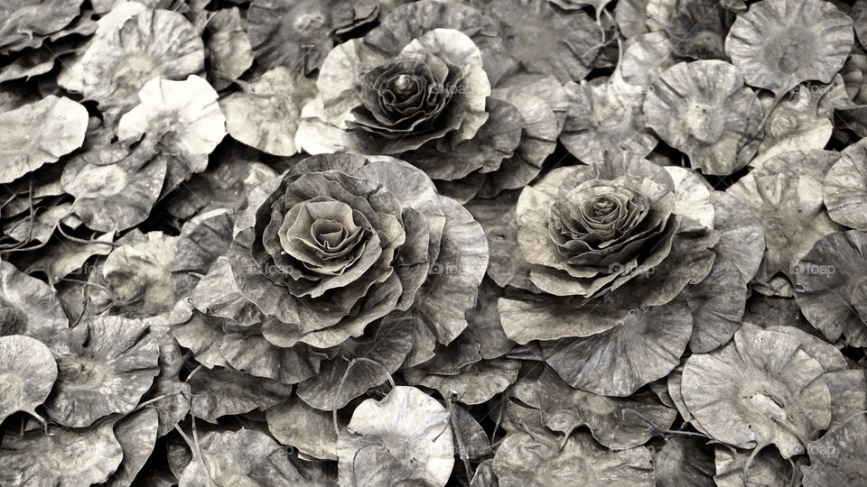 We could make a happy moment by our hand just created it by our hand

