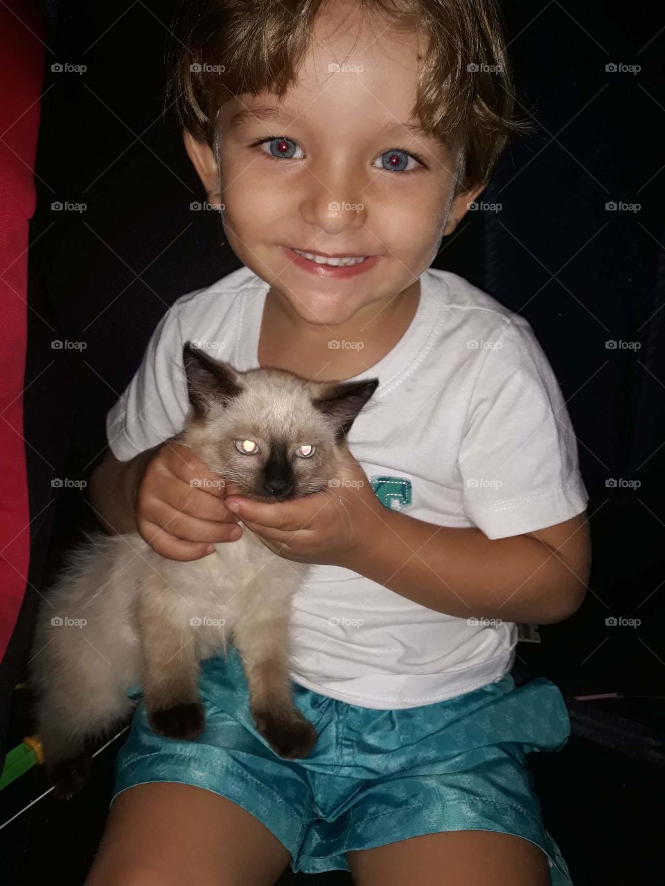child playing with the kitten