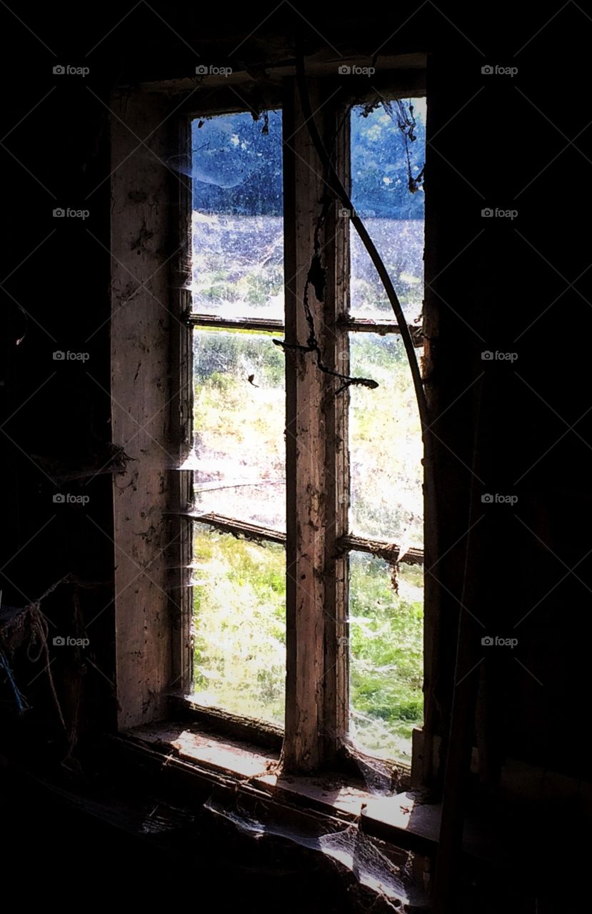 Window