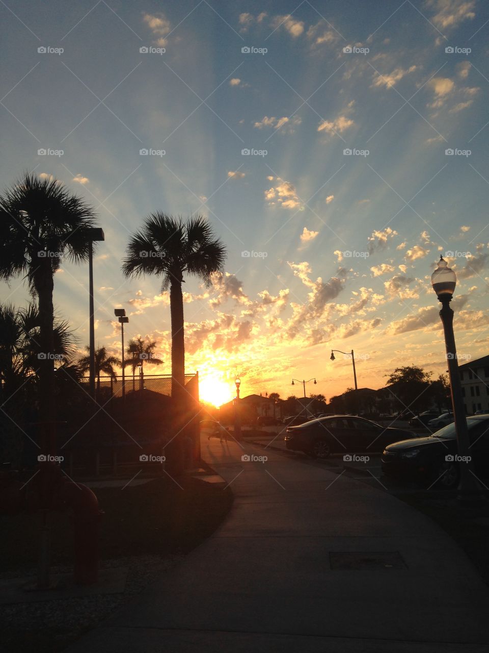 Amazing Florida Sunset