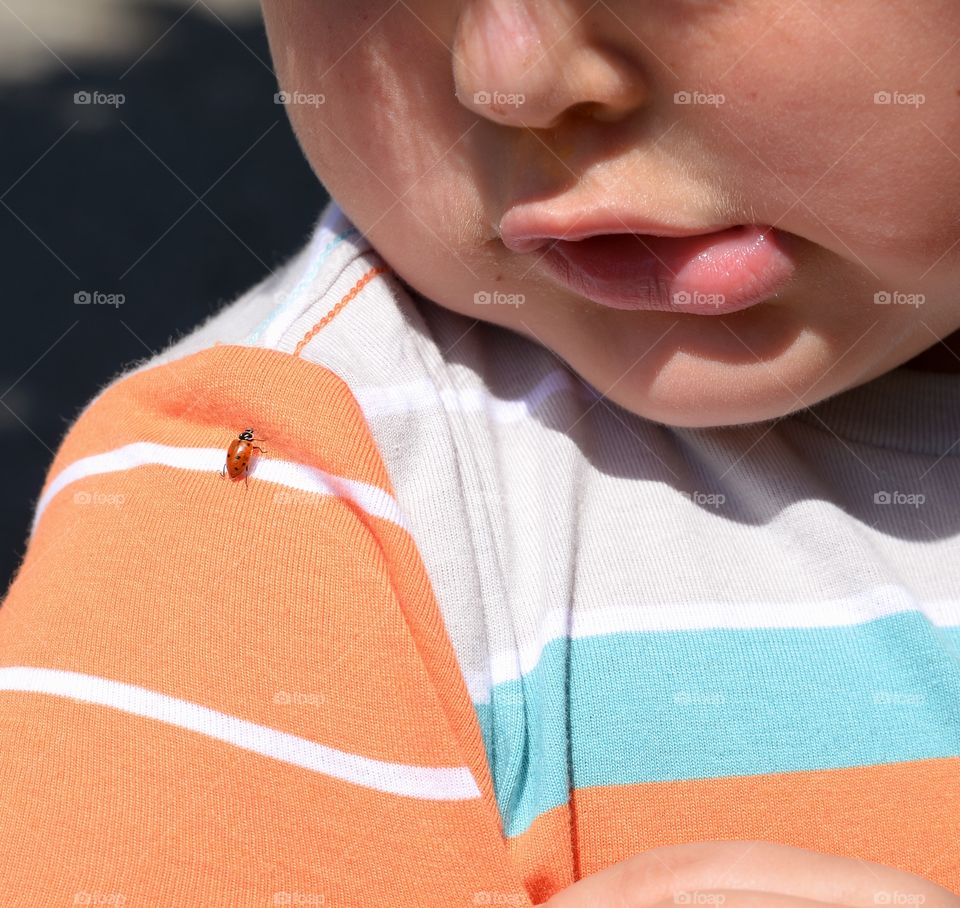 Lady bug on shoulder. 