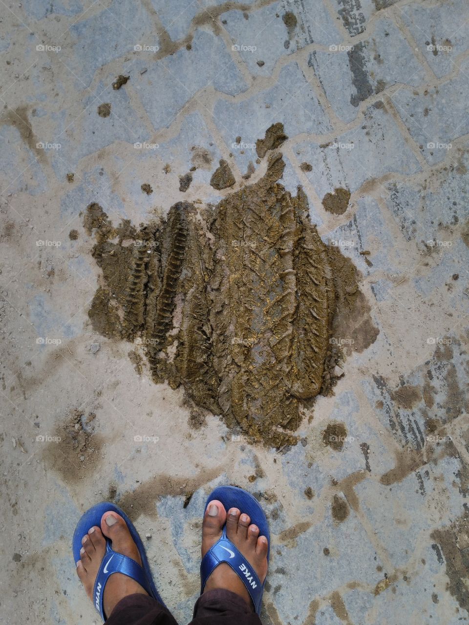 dung by the cattle on the road splash by the whical's tyre.