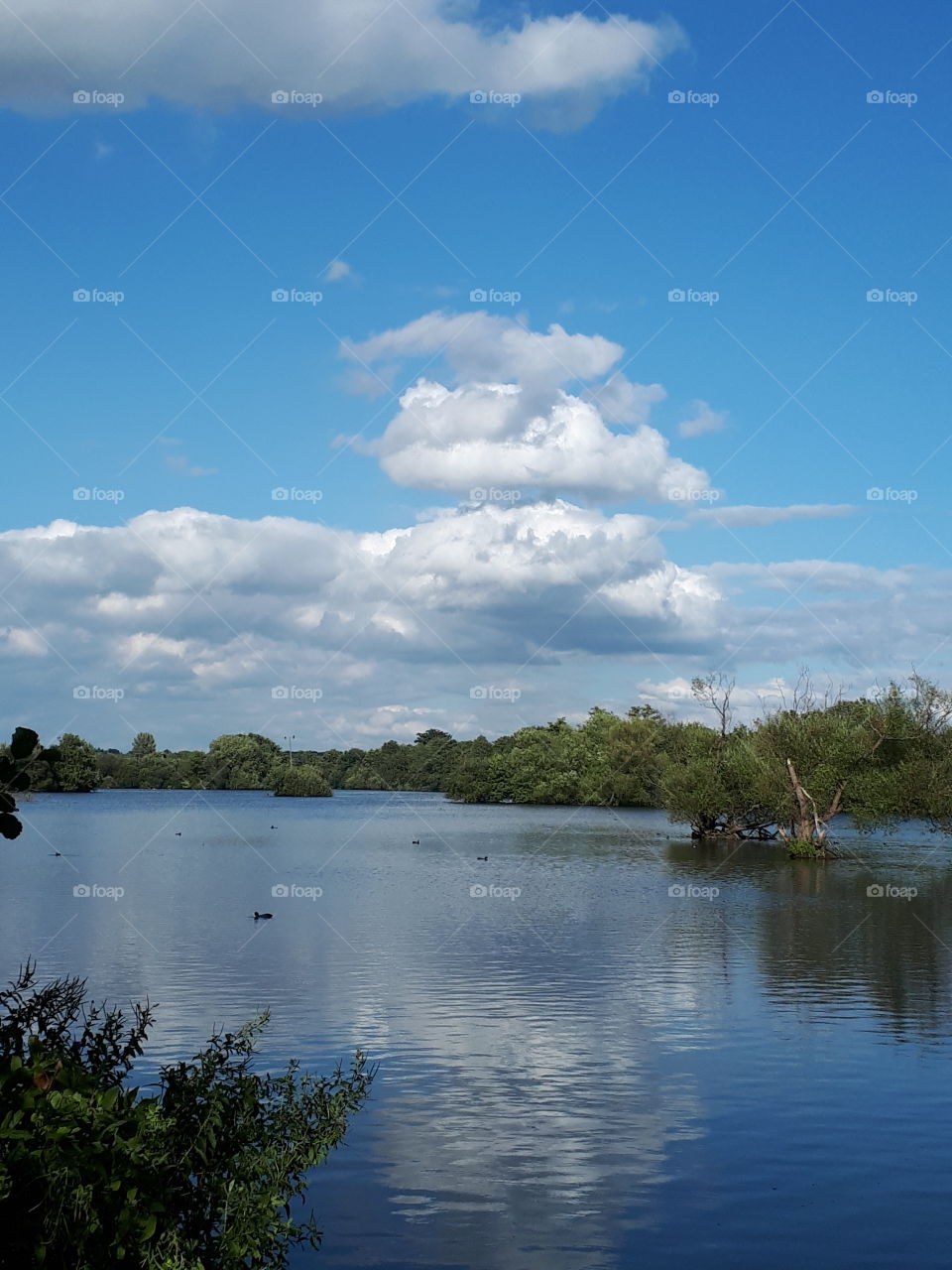 Reflective Lake