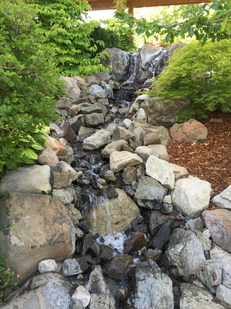 Trickling Stream at BC Winery