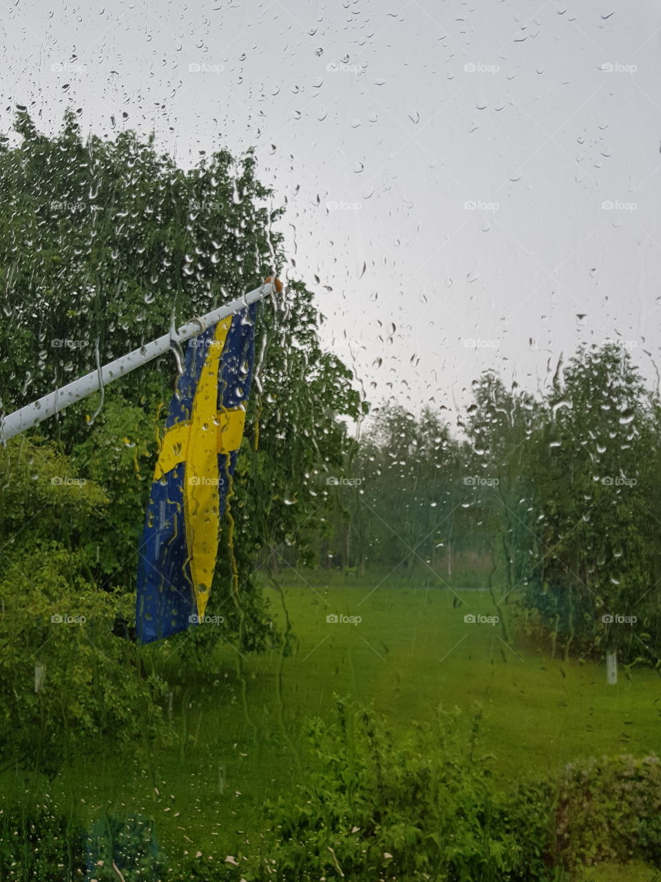 Swedish summer 
rain 
svensk sommar
regn