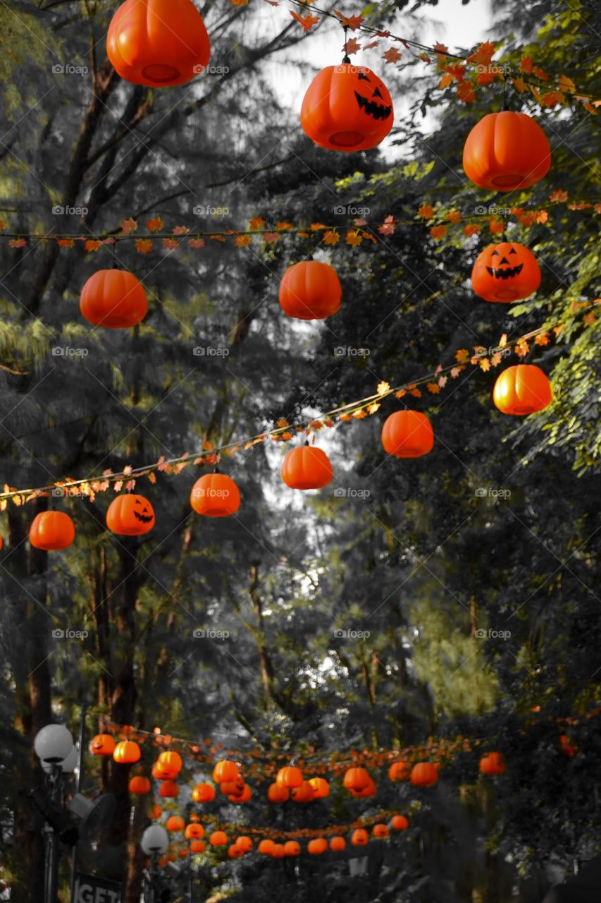 Halloween Pumpkin Lanterns