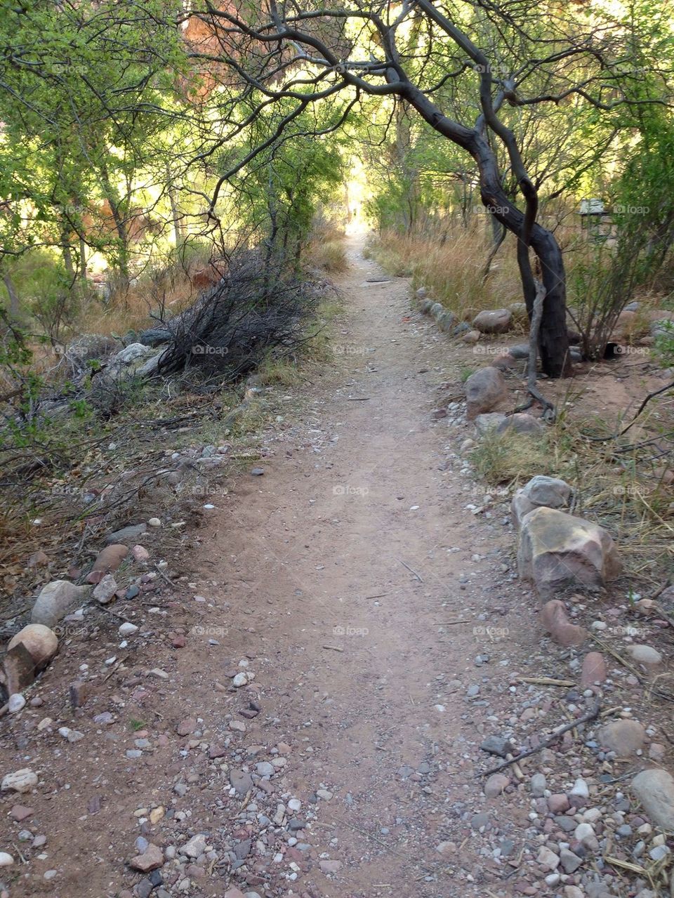 Pathway @ Bright Angel Camp