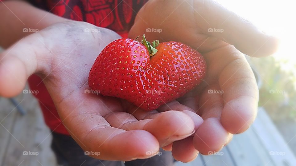 Strawberry Heart