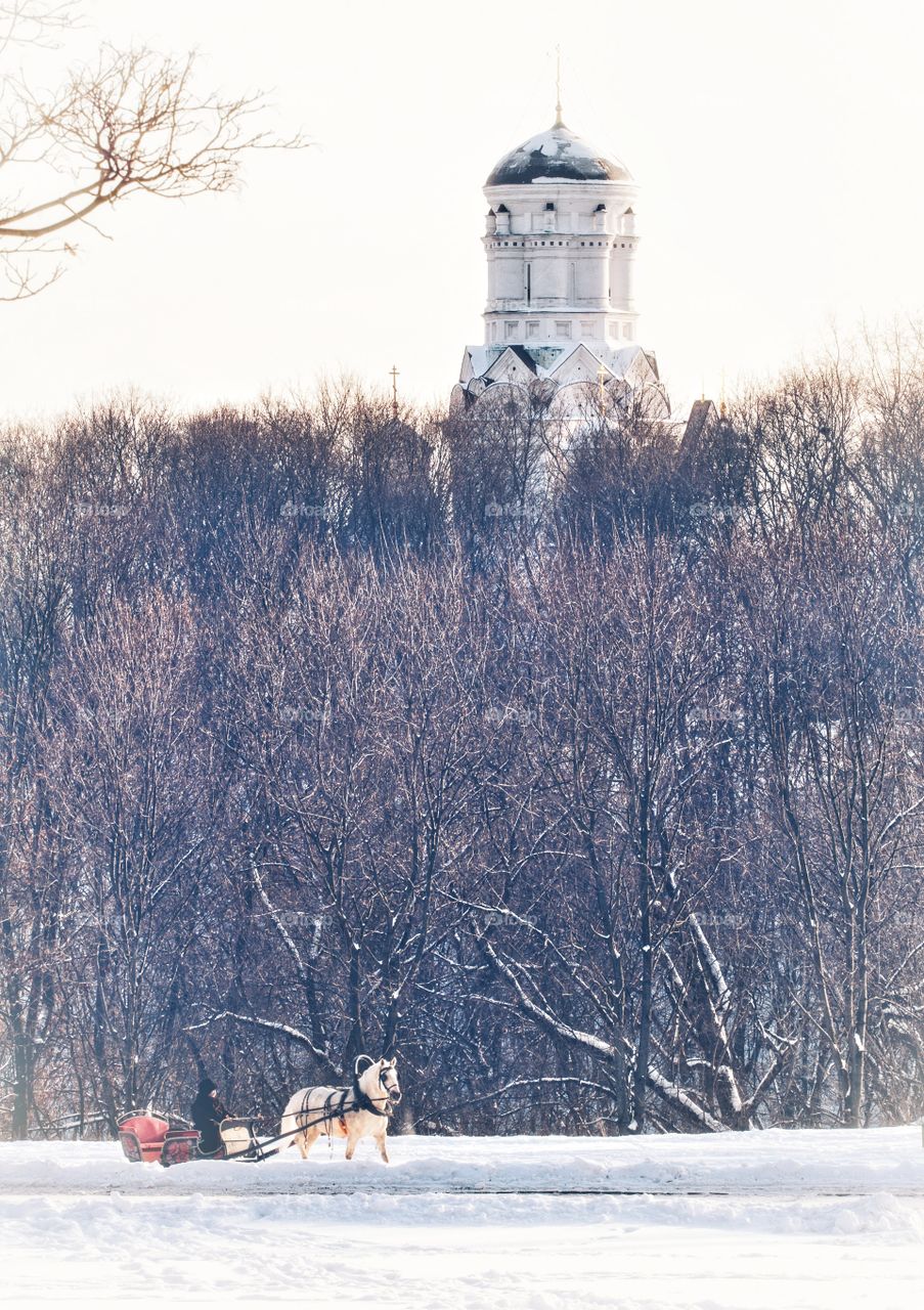 church and a man in the cart with white horse in the winter moscow park