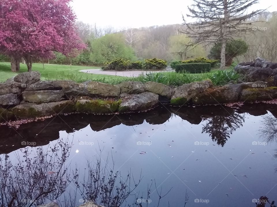 reflecting pond