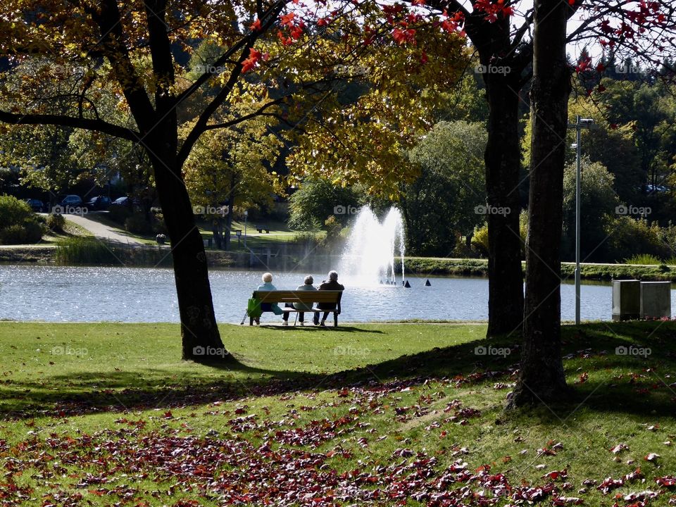 beautiful autumn day in the park 