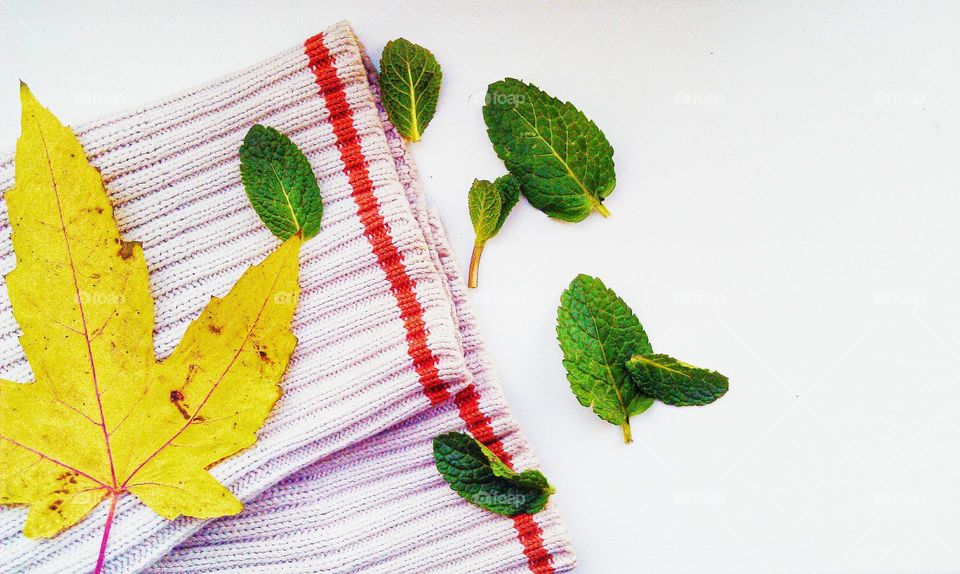 White sleeves sweater and autumn leaf