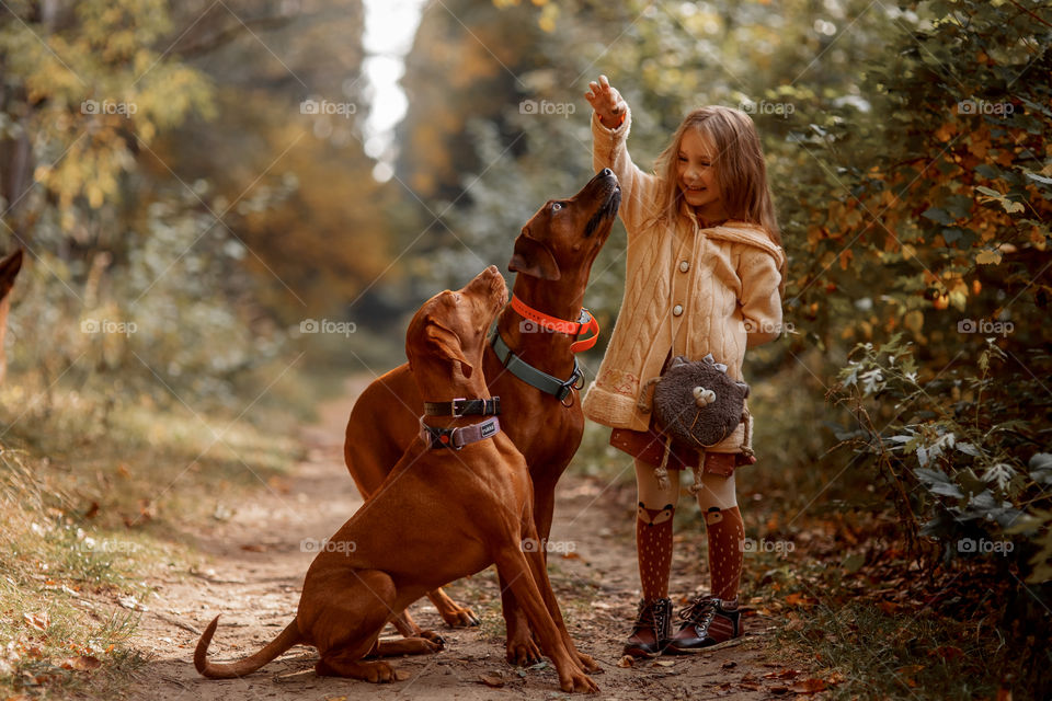 Little girl playing with dogs in an autumn park