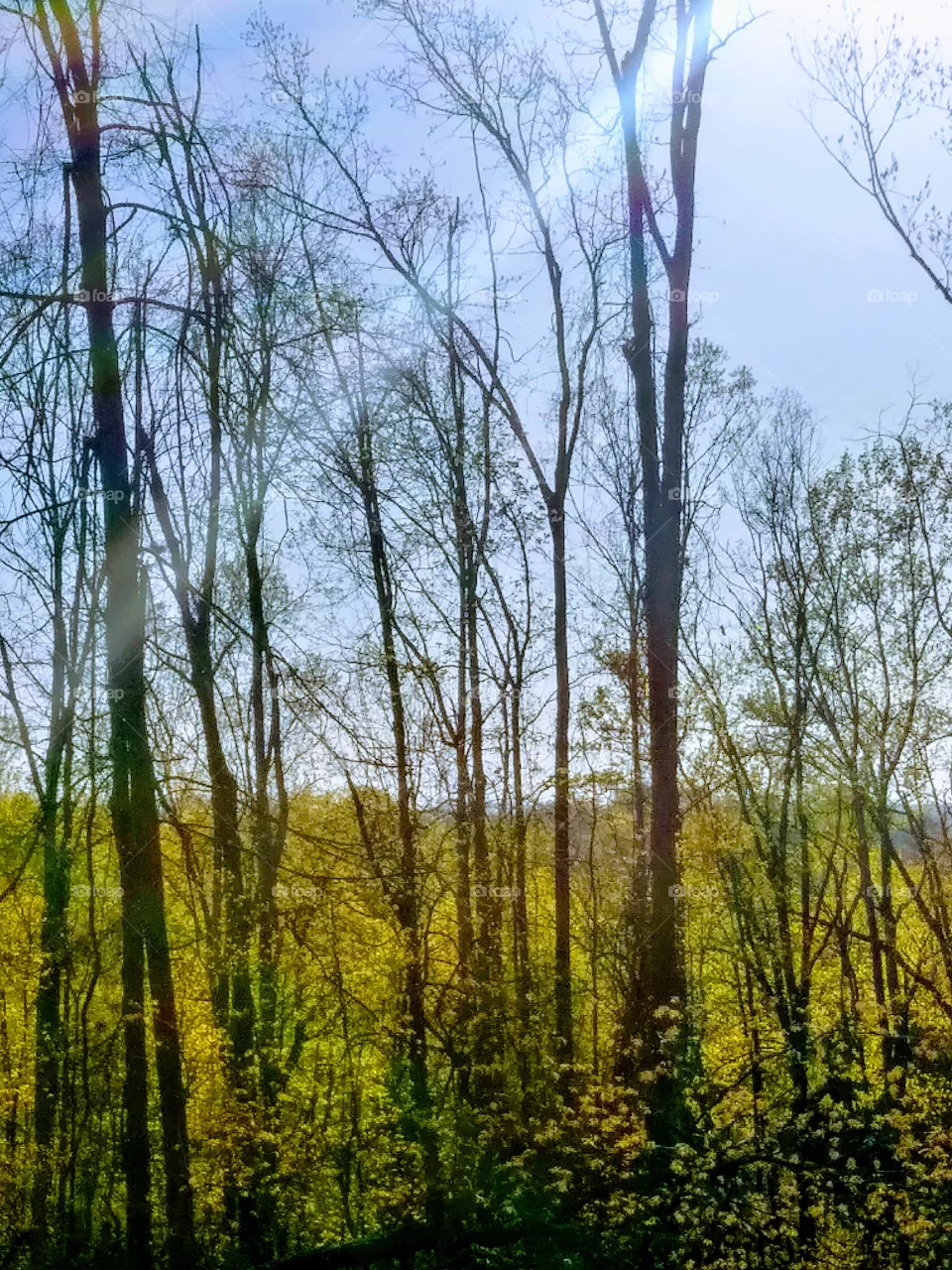 scenery