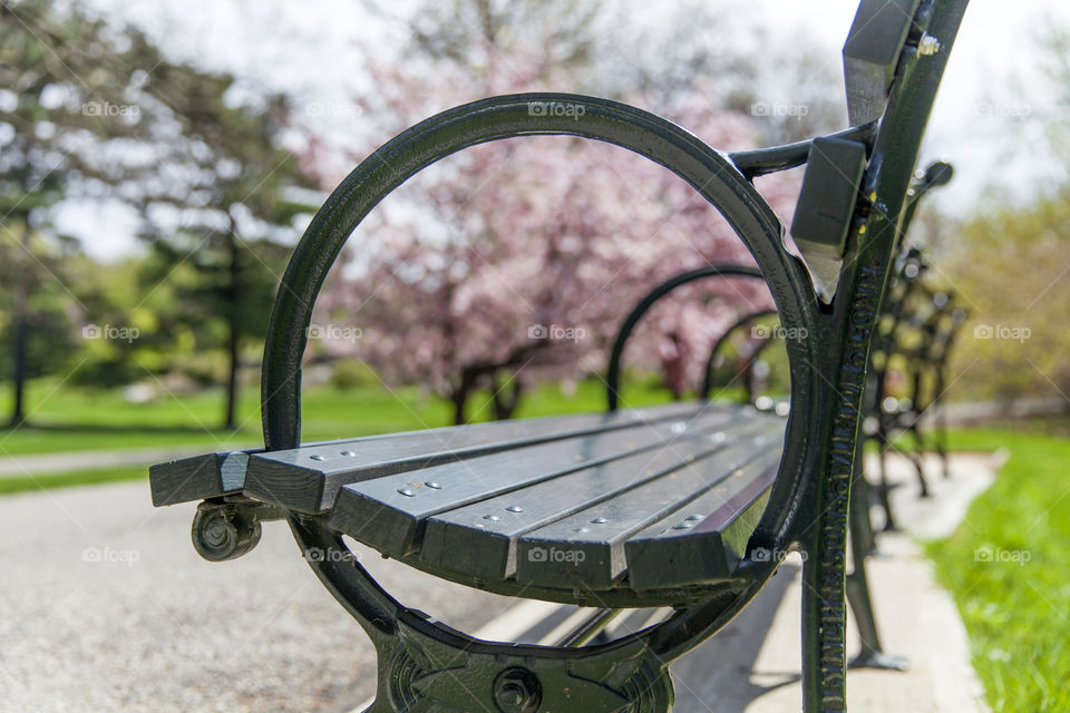 Green bench in the spring park