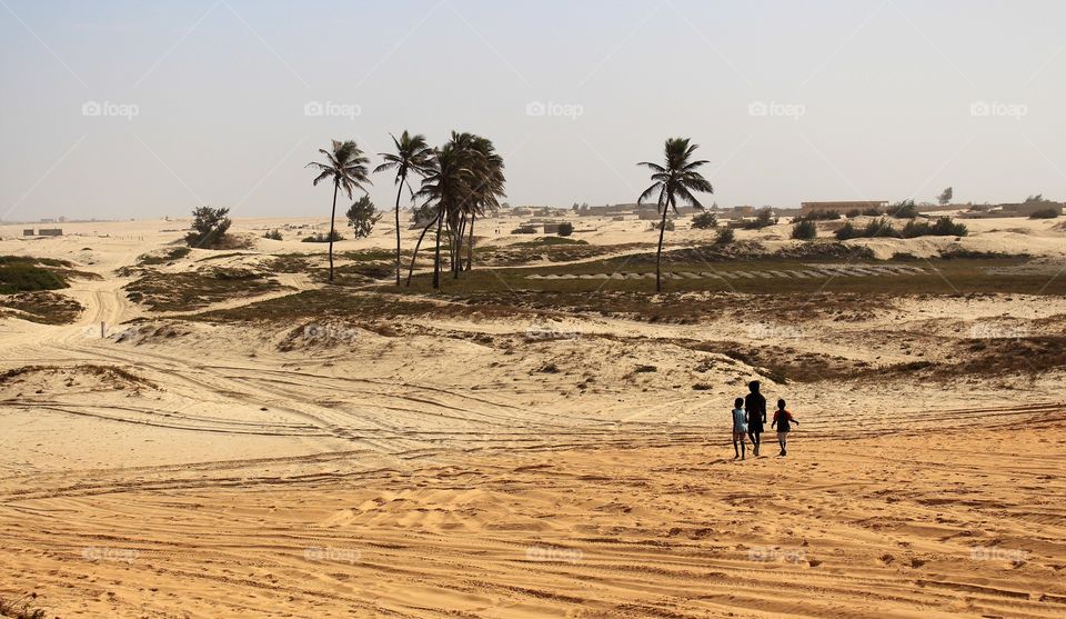 Life in the desert